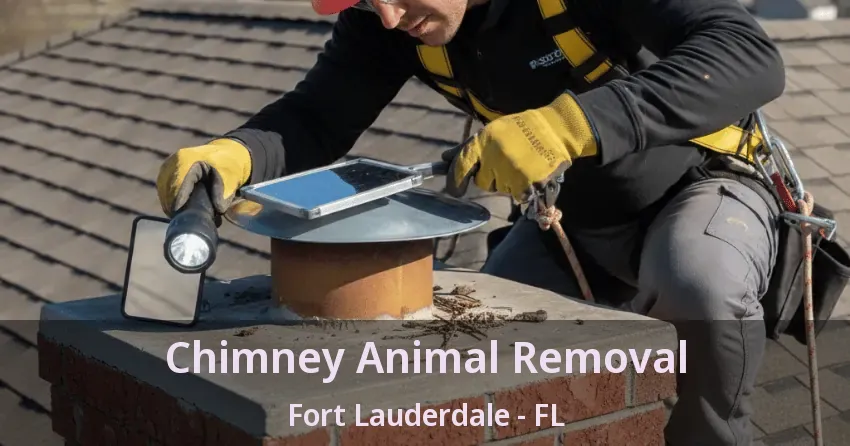 Chimney Animal Removal Fort Lauderdale - FL