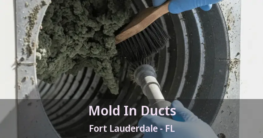 Mold In Ducts Fort Lauderdale - FL